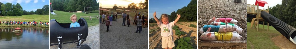 Family fun activities at Bull Bottom Farms in Duck Hill, Mississippi.